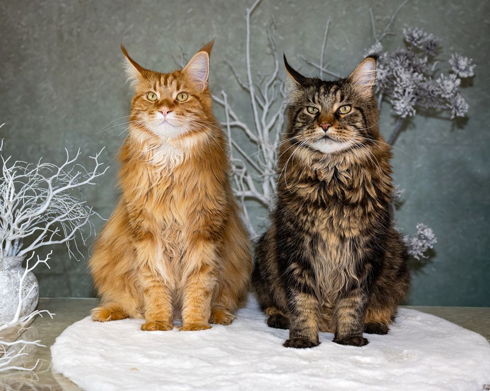 Photograph by NADEZHDA PELYMSKAIA