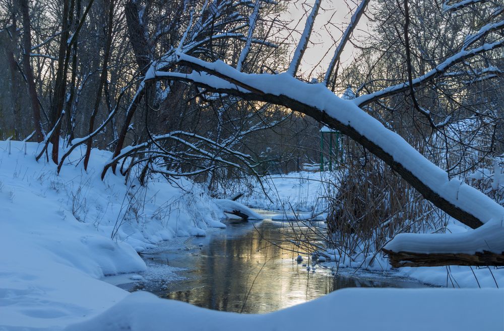Photograph by Nastya Perekhodkina