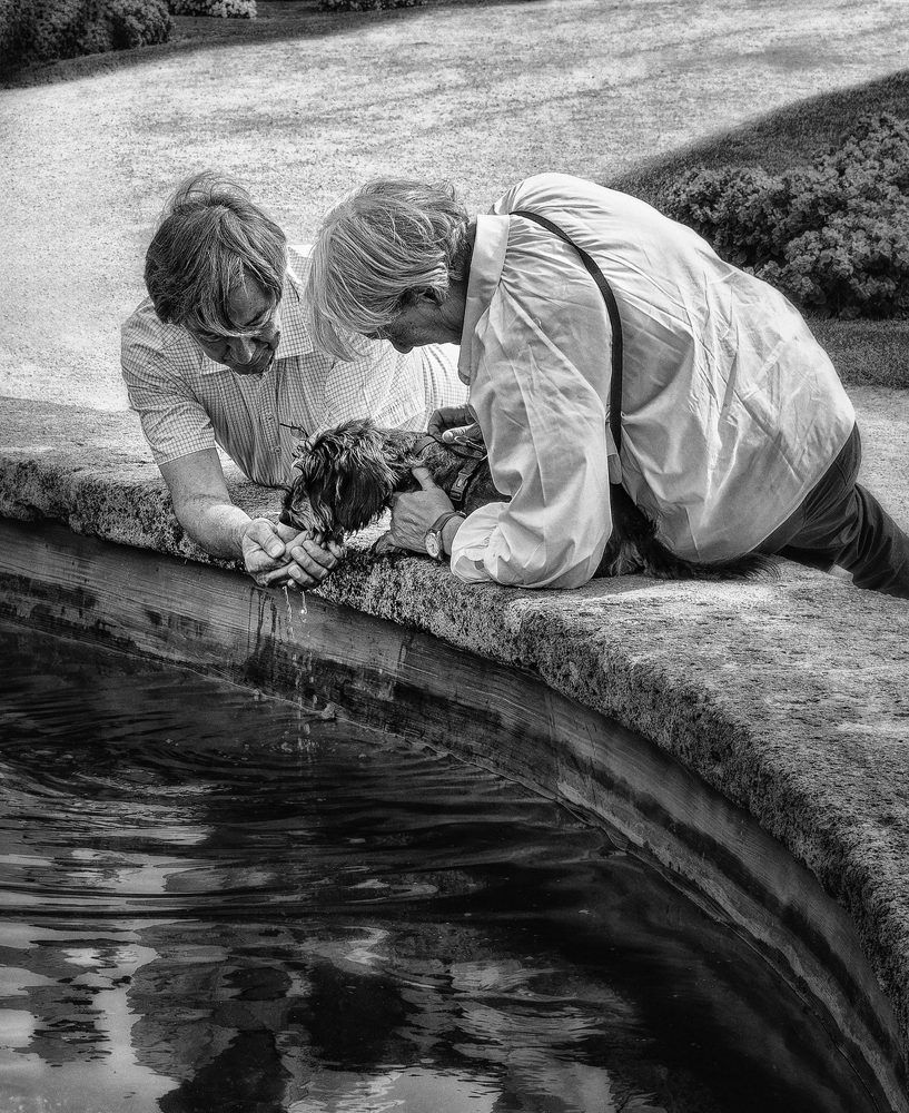 Photograph by Виктор Смирнов