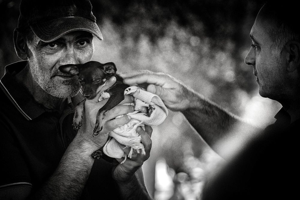 Photograph by Виктор Смирнов