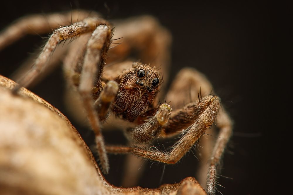 Photograph by Yakup Temel