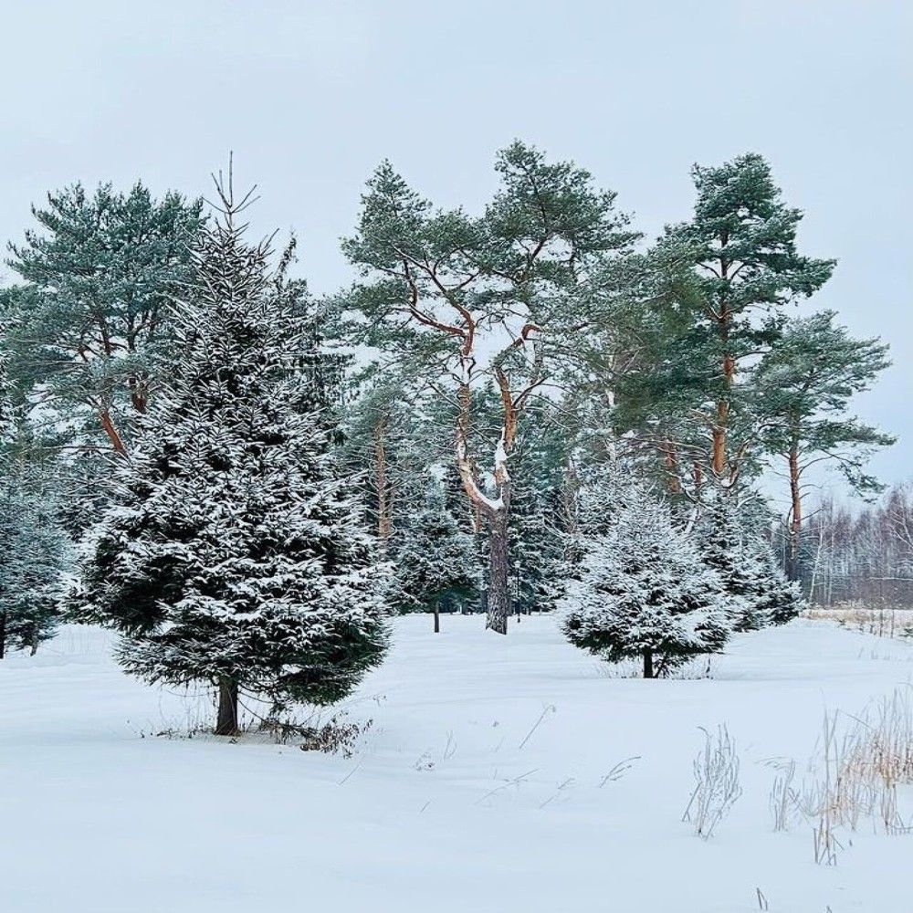 Фотография автора Илья