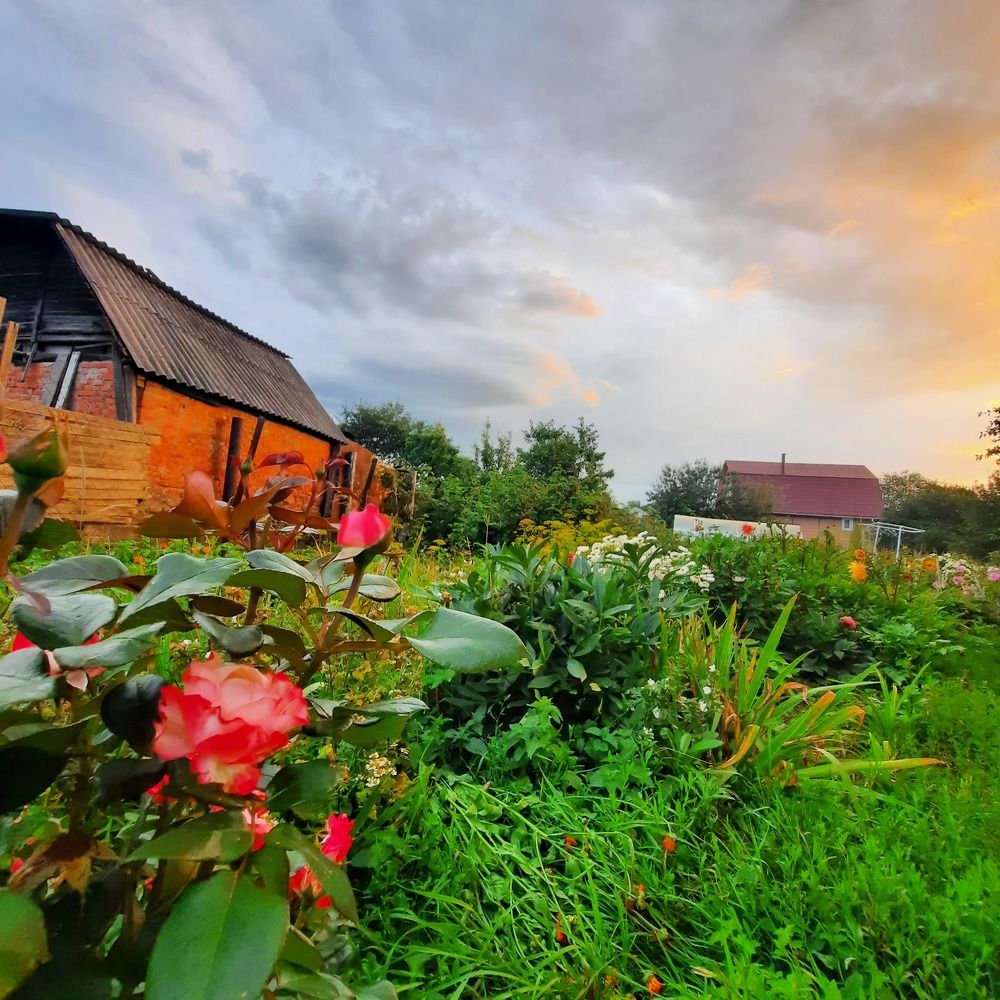 Photograph by Олеся