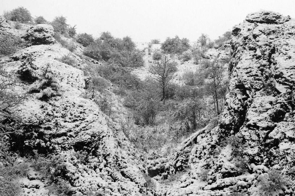 Photograph by Dagmar Vopolková