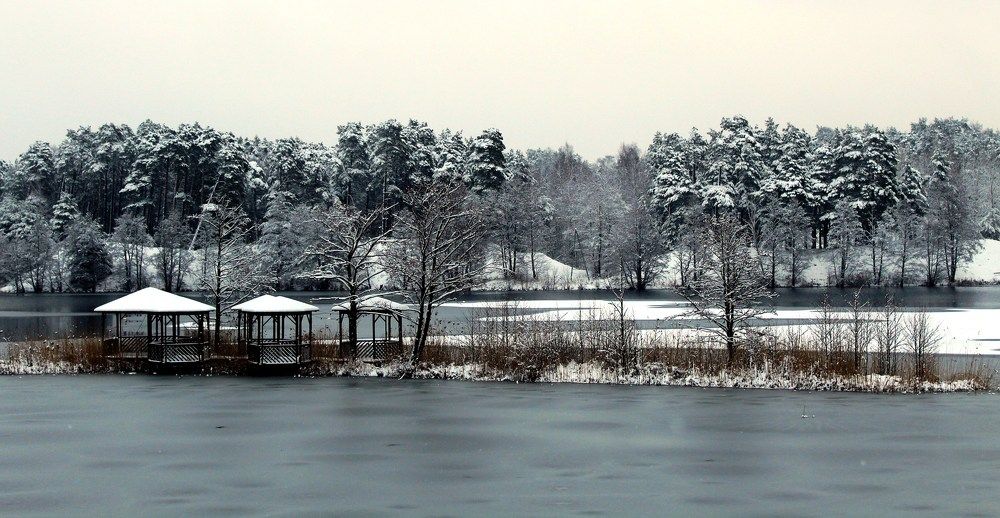 Photograph by 