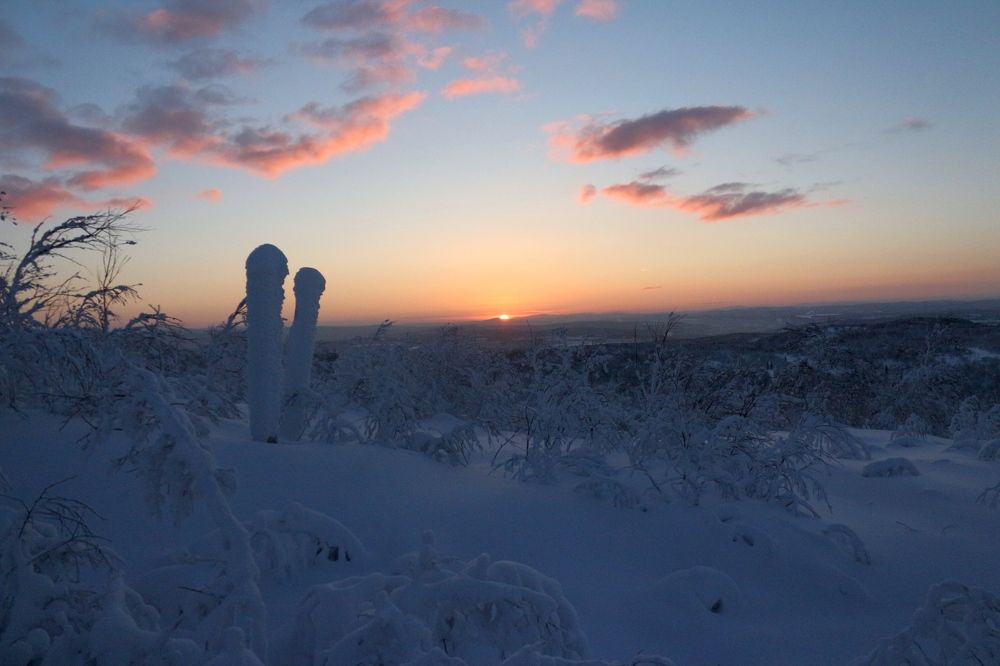 Photograph by Светлана