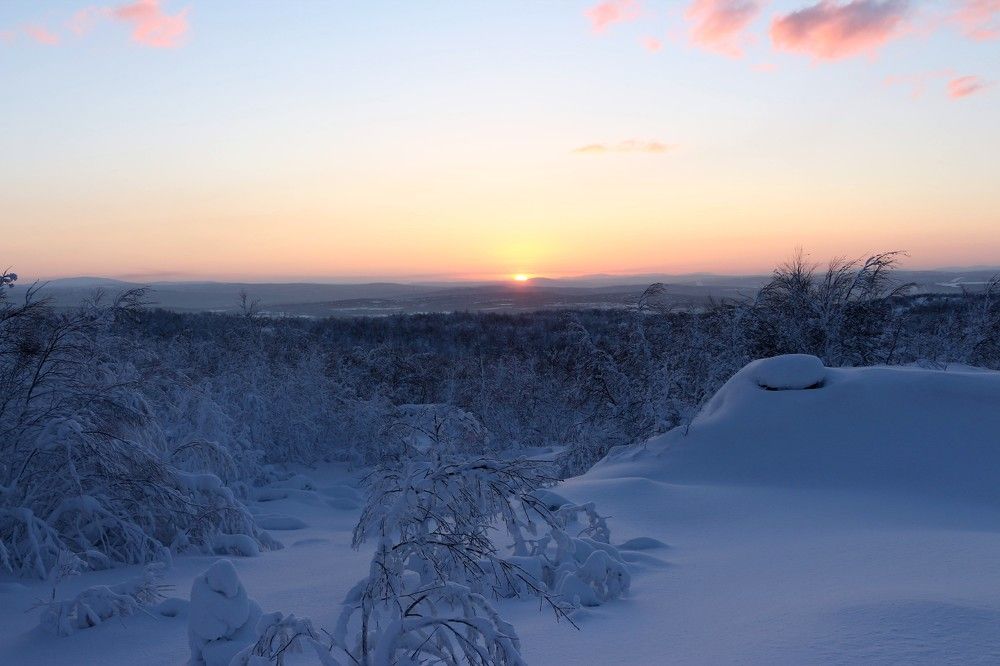 Photograph by Светлана