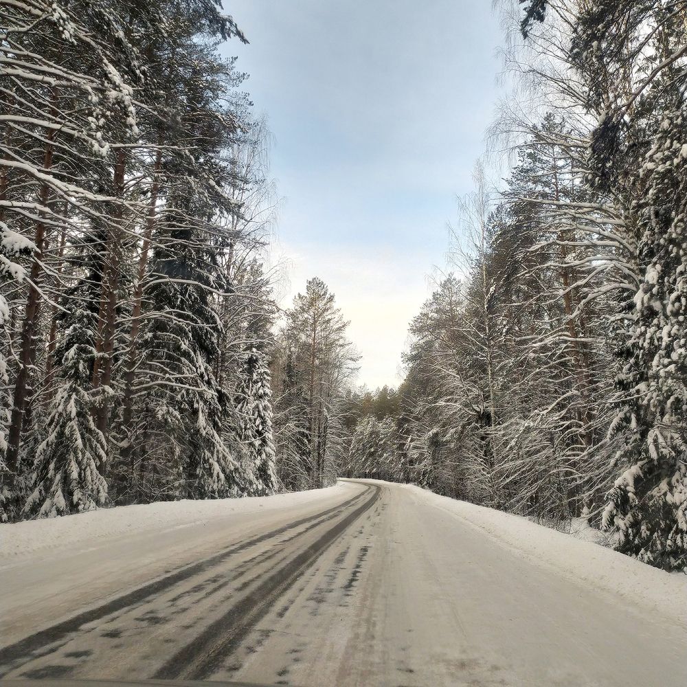 Дорога в сказку