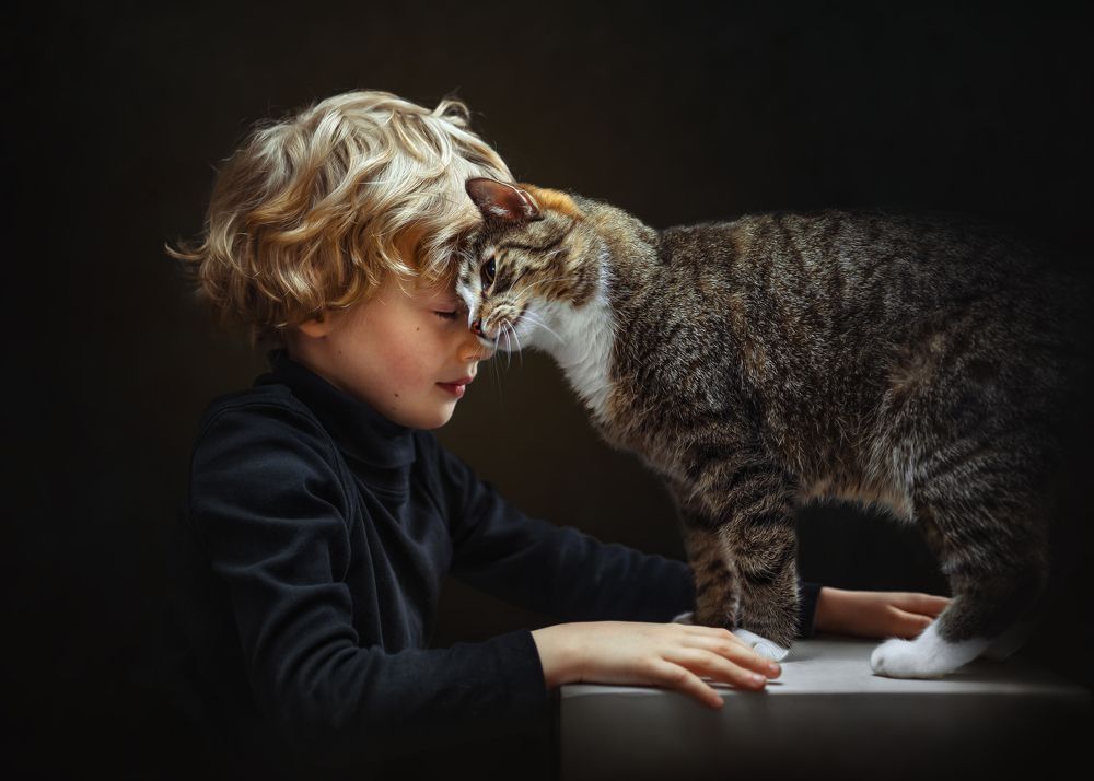 Фотография автора Kasia Kapała