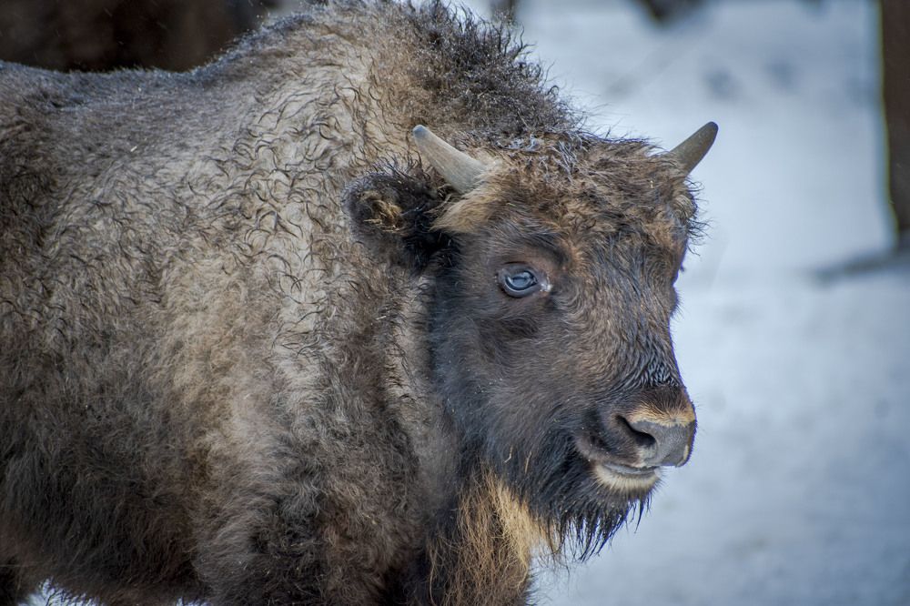 Photograph by Оксана Губанова