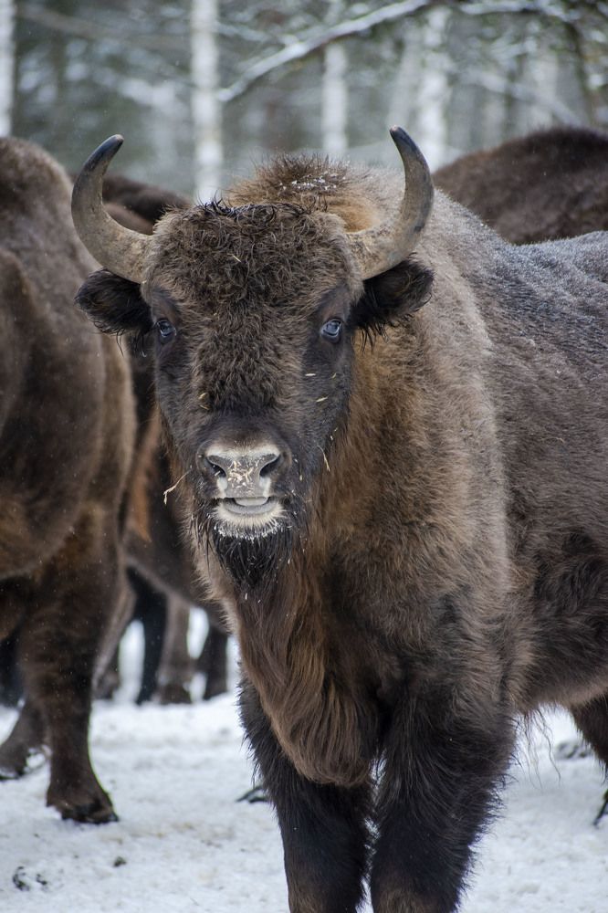 Photograph by Оксана Губанова