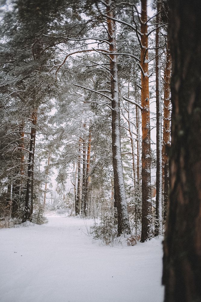 Photograph by Илья Хрусталев