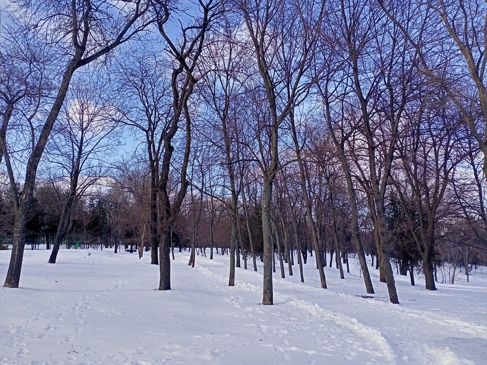 Photograph by Анна Лагун