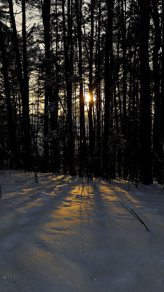 Photograph by Maria Stankevich