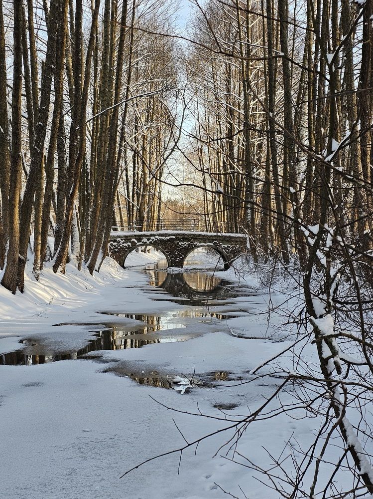 Фотография автора Мария Рудаковская