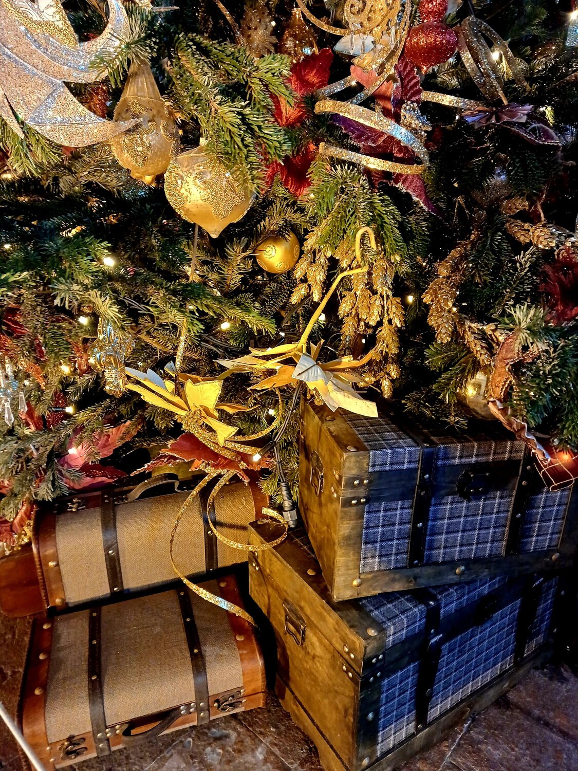 Photo #10110644