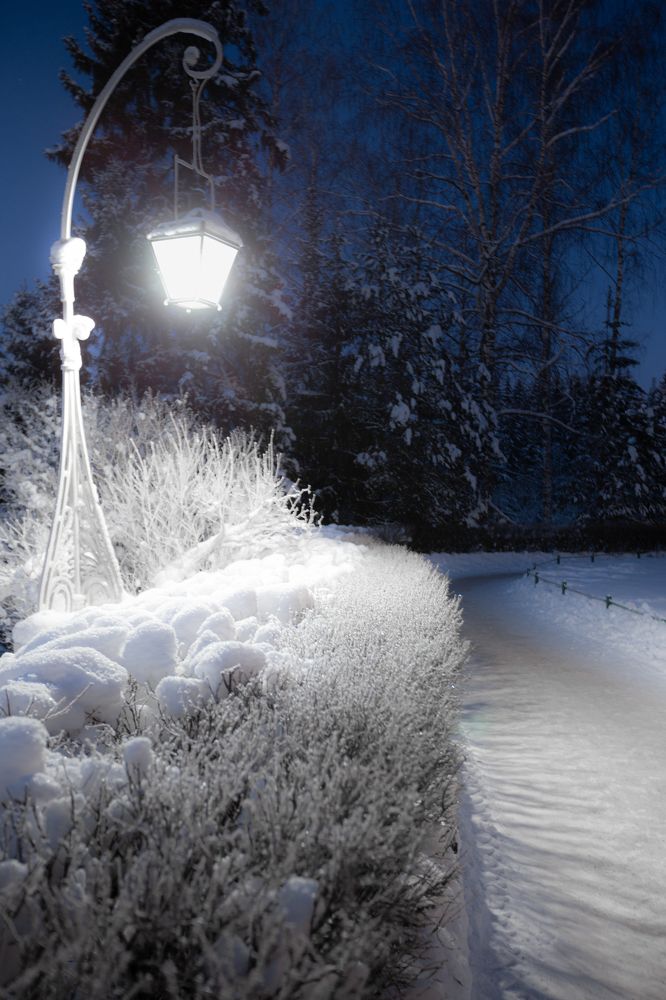 Фотография автора Лукьянов Евгений