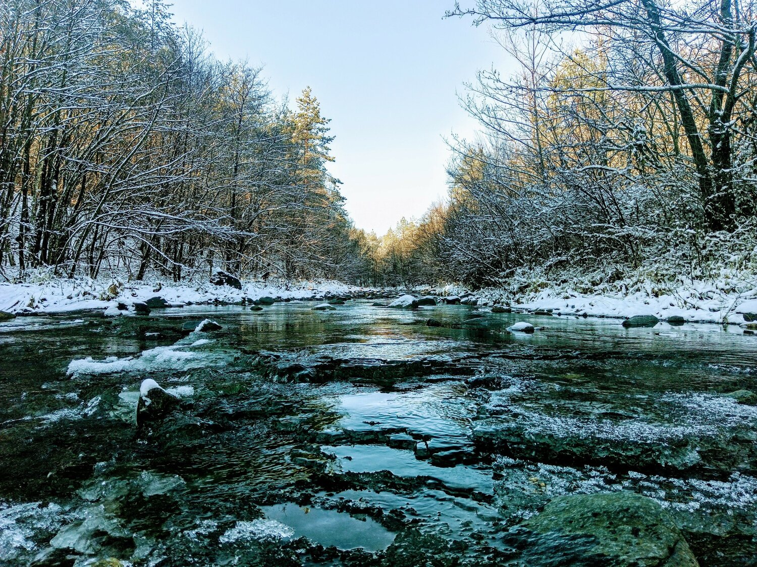 Photo #10110726