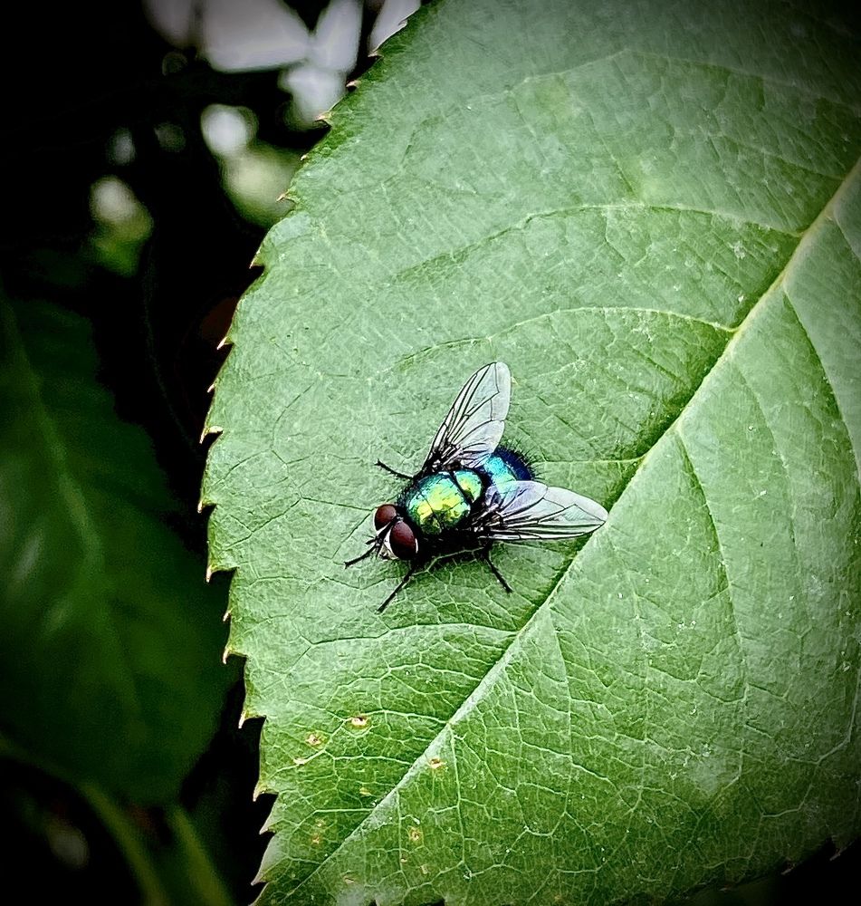 Photograph by Наталья Никитина