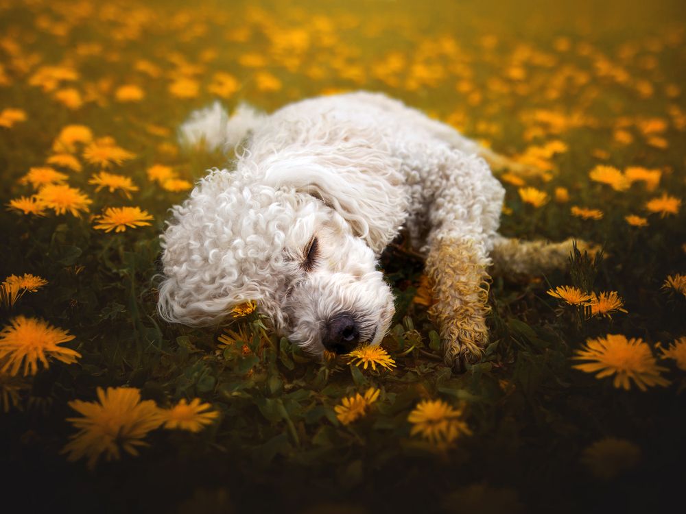 Photograph by Dorota Hnatová