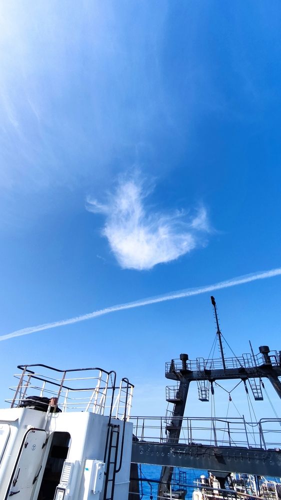 Photograph by Эльмира Халматова