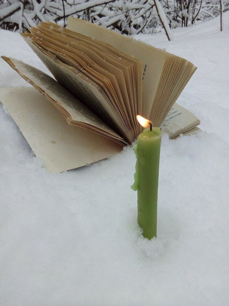 Photograph by Людмила Ковалева