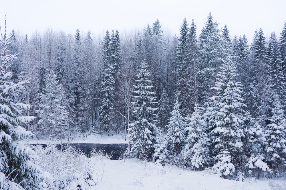 Фотография автора Екатерина Рядчикова