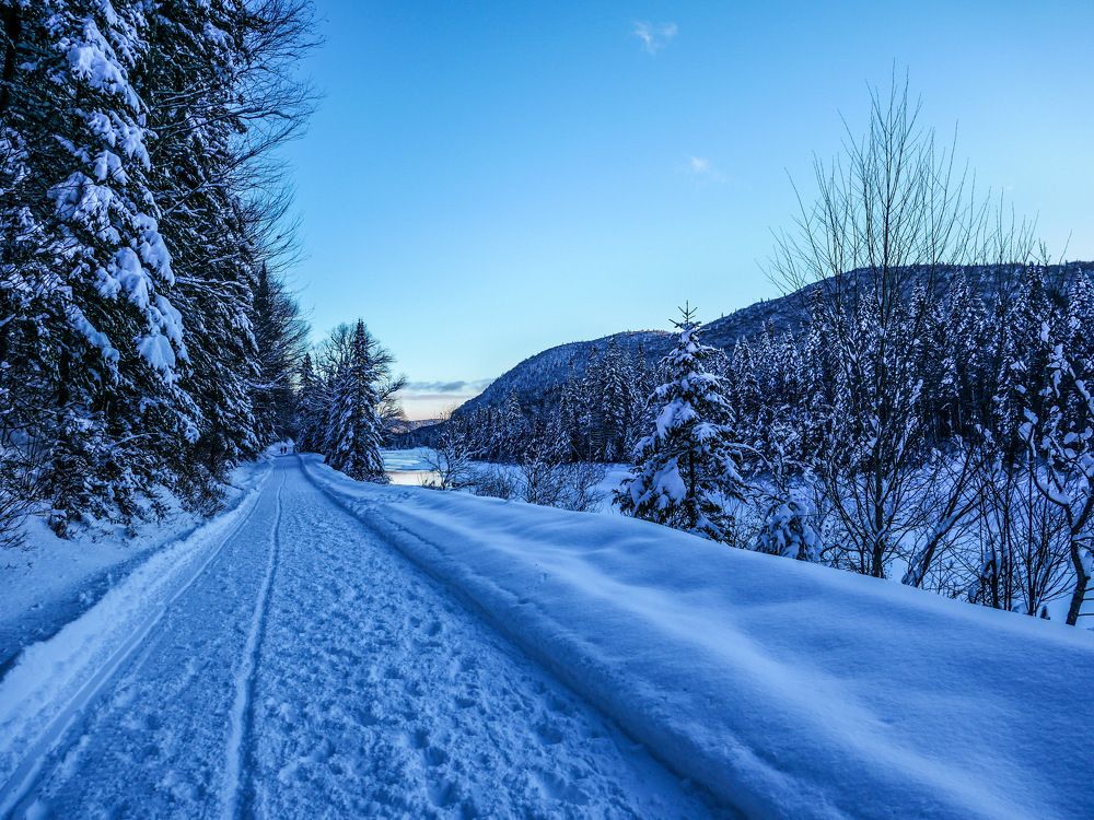 Photograph by Annie Trudel