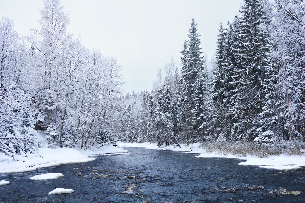 Фотография автора Екатерина Рядчикова