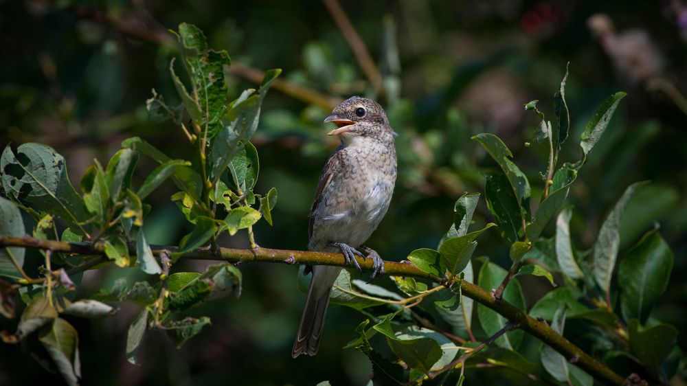 Photograph by Sofia Belyaeva