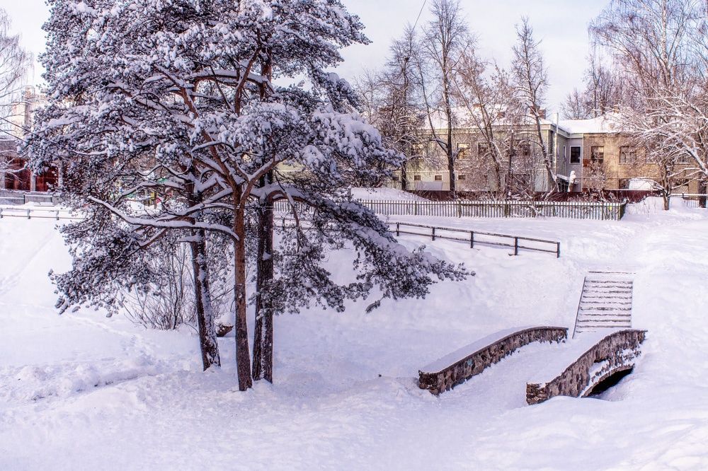 Photograph by Денис Федоров