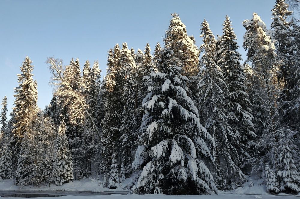 Photograph by Dark Ambient