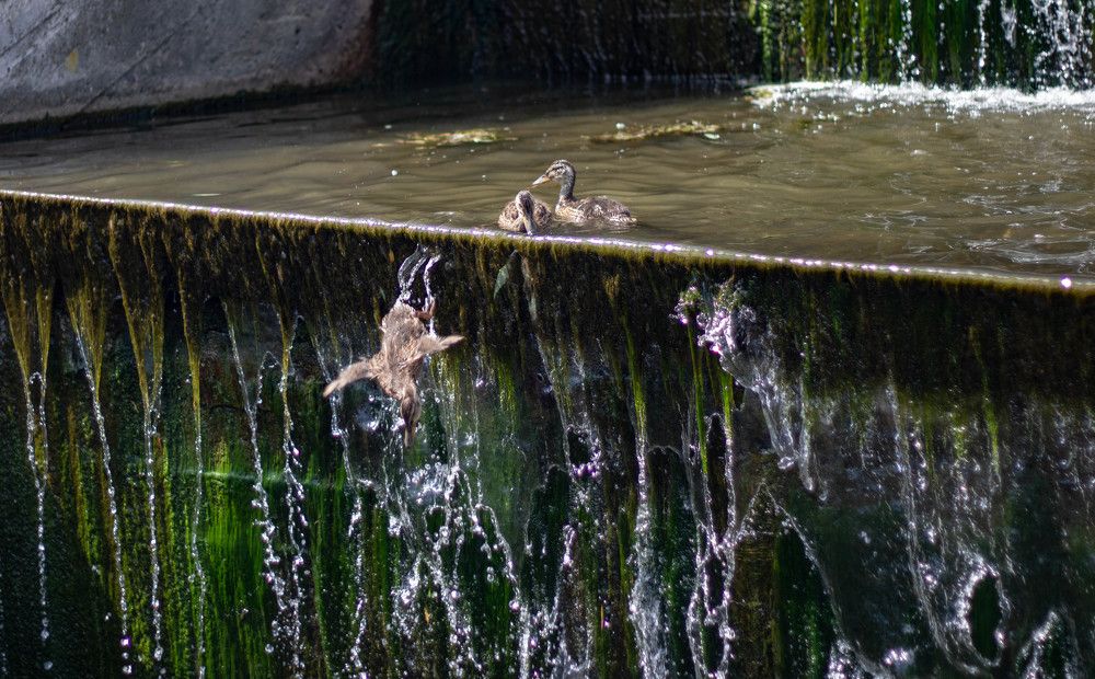 Photograph by Алексей Швецов