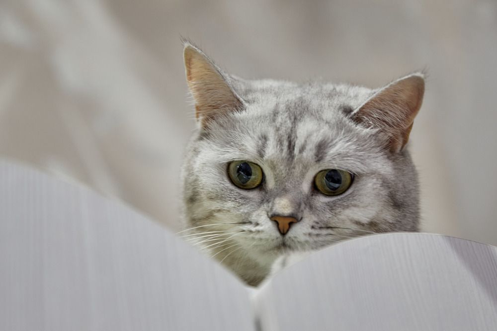 Photograph by Алексей Швецов