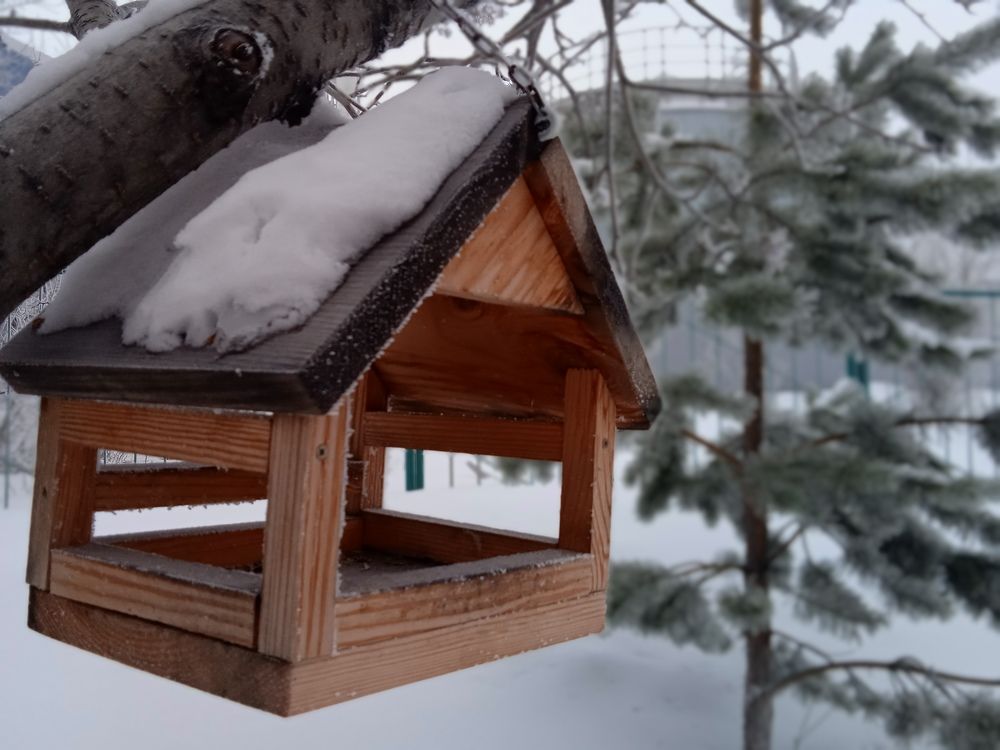 Photograph by Наталья Сорокина