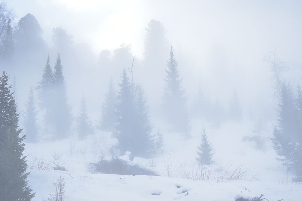 Photograph by Наталья Сорокина