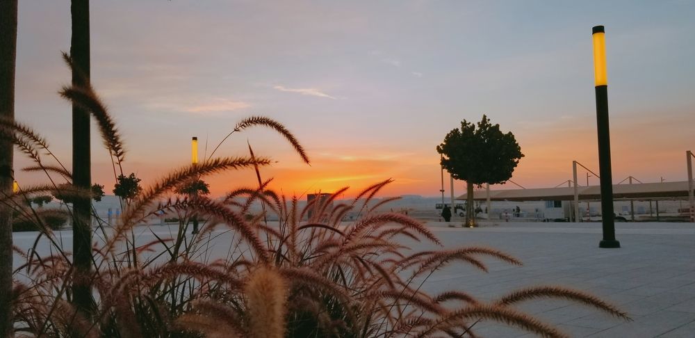 Morning sunset