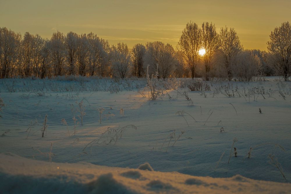 Photograph by Игорь Сидун