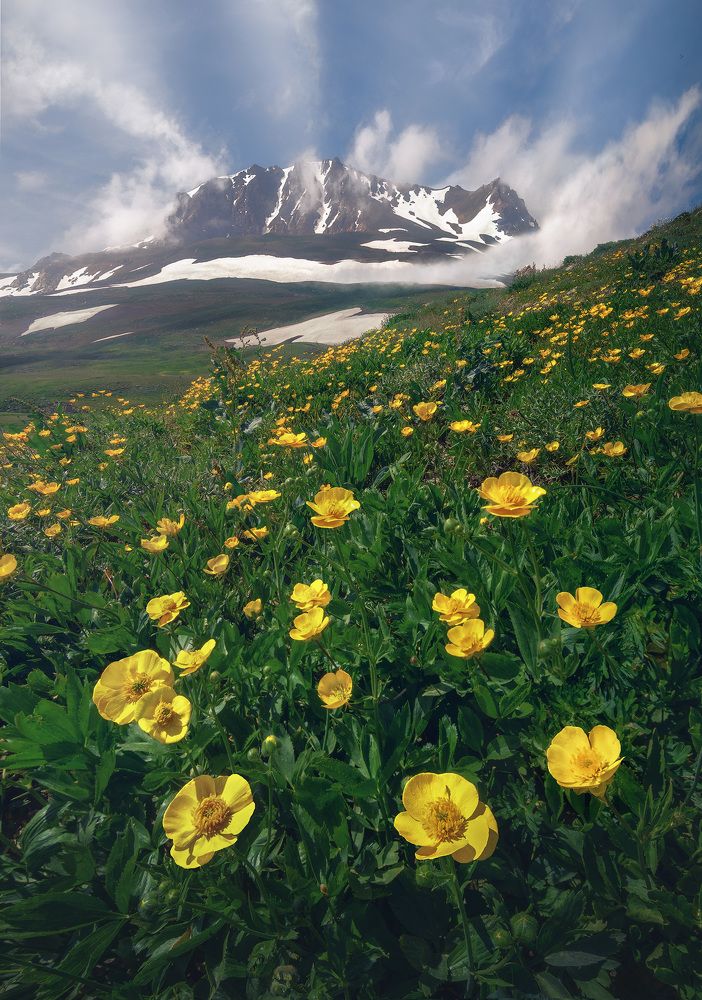 Photograph by ali asghar forghani