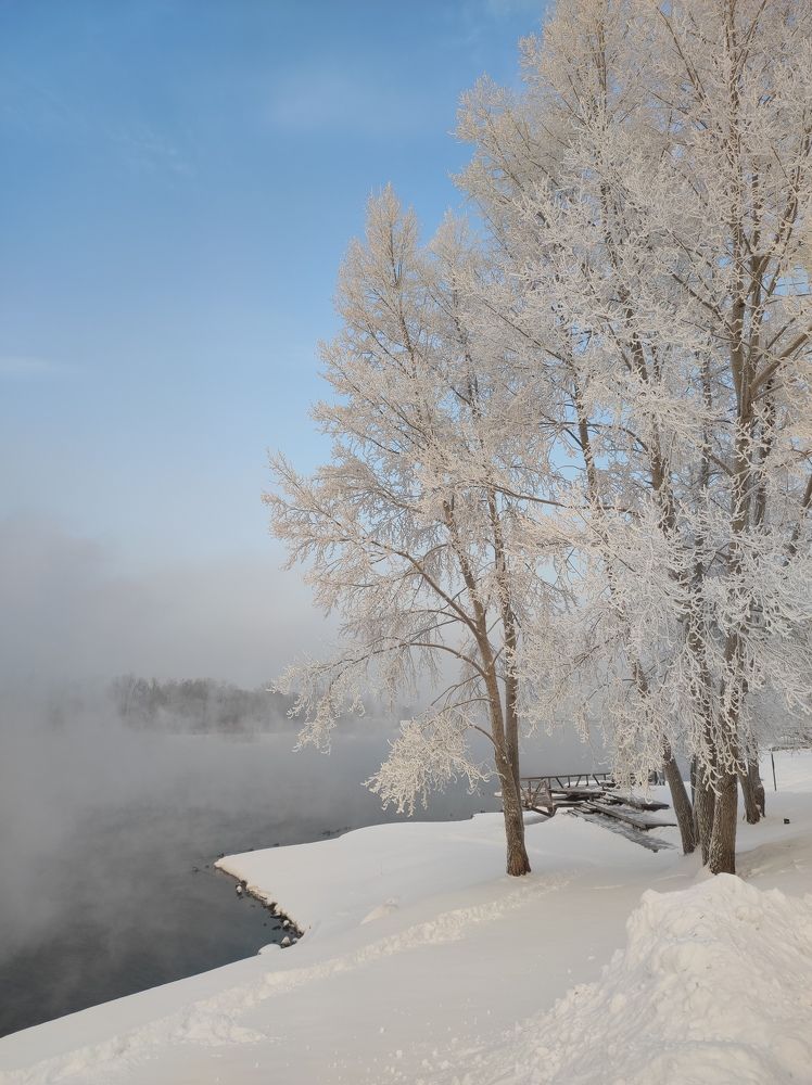 Photo #10111400