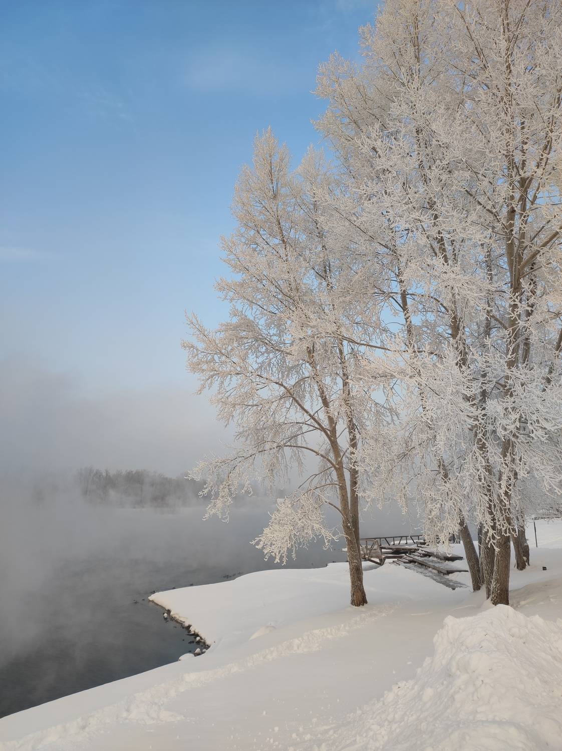 Photo #10111400