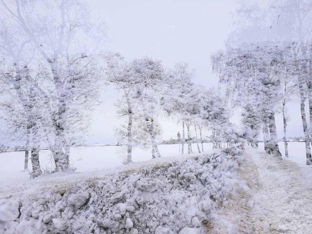 Photograph by Halina Basyanok