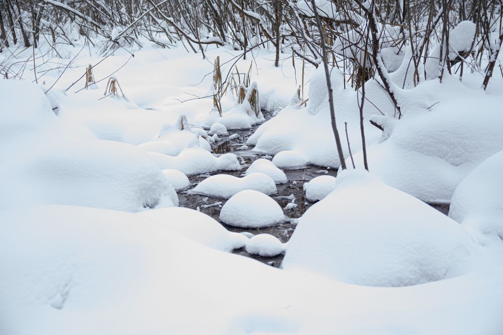 Photograph by Антон Гаврилов