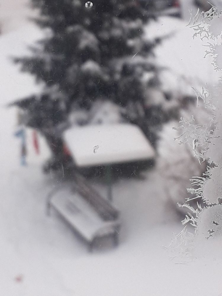 Старый новый год