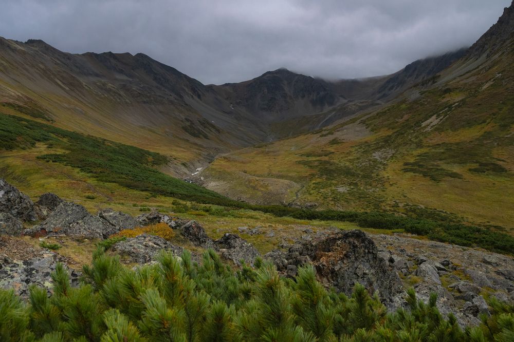 Photograph by Юлия Хобта