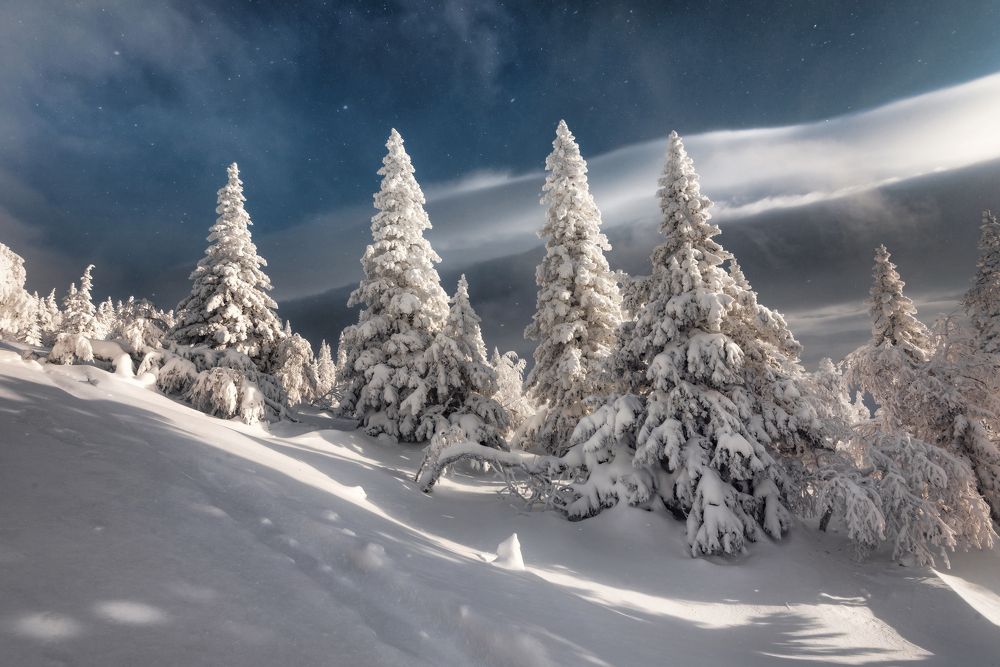 Photograph by Соколова Елена