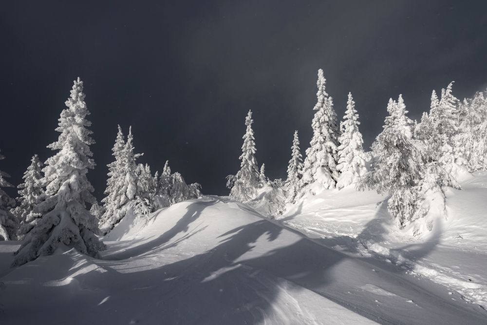 Photograph by Соколова Елена