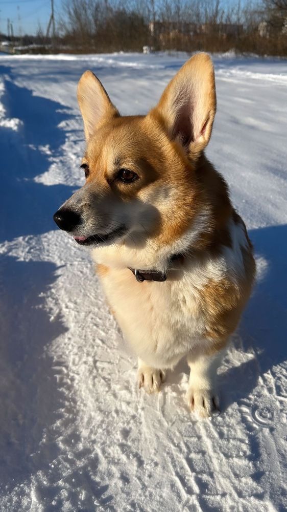 Photograph by Елена Клейменова