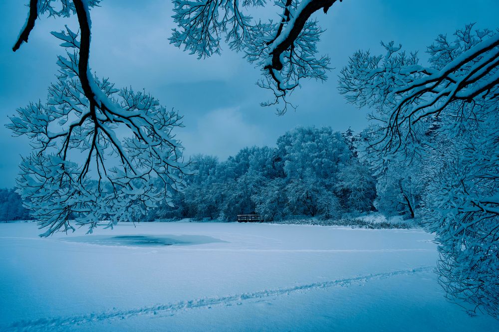 Photograph by Алексей Шевченко