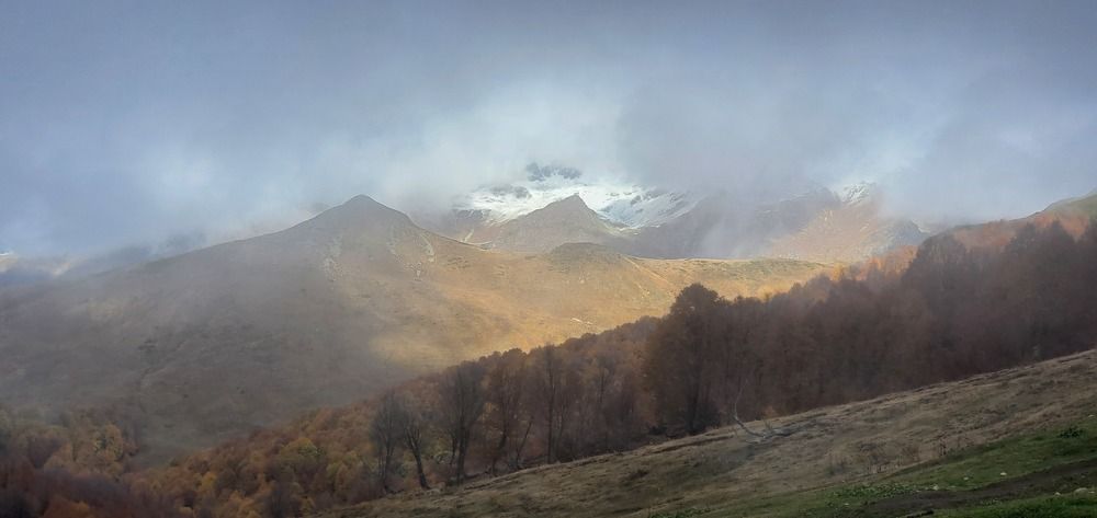 Photo #10111522